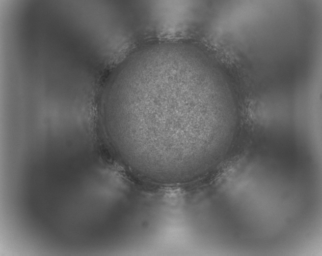 X0000048230659200504061212.png