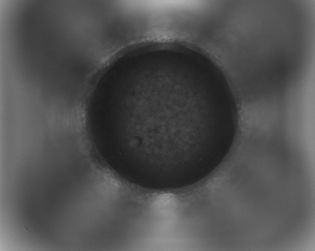 X0000054730355200508171858.png