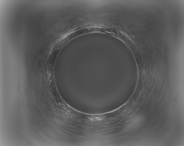 X0000055061303200508161635.png