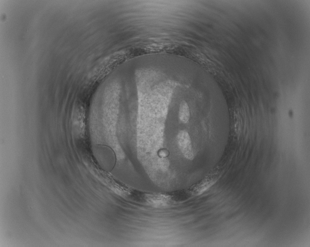 X0000054170226200508101808.png