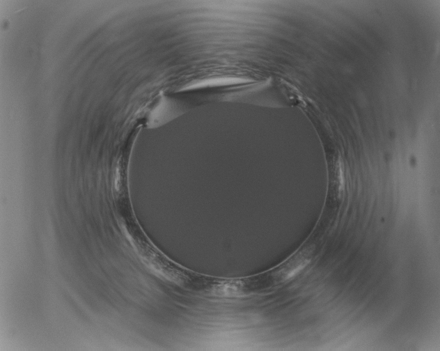 X0000054170080200508101811.png