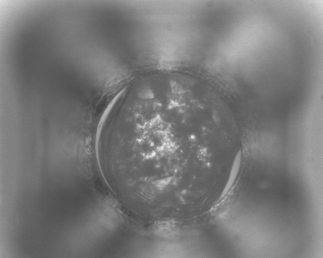 X0000048330175200503311930.png
