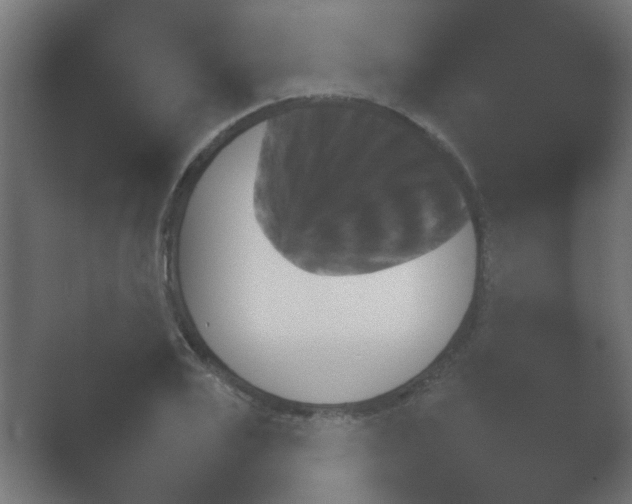 X0000054930983200508291627.png