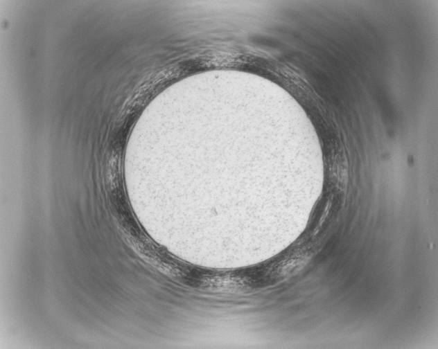 X0000054230503200508171515.png
