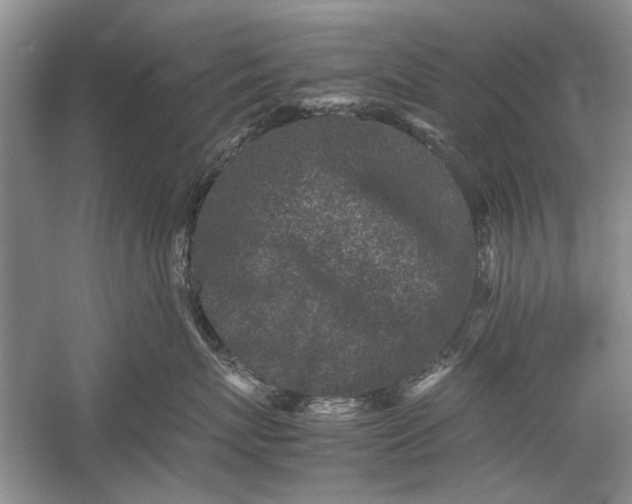 X0000055060767200508161645.png