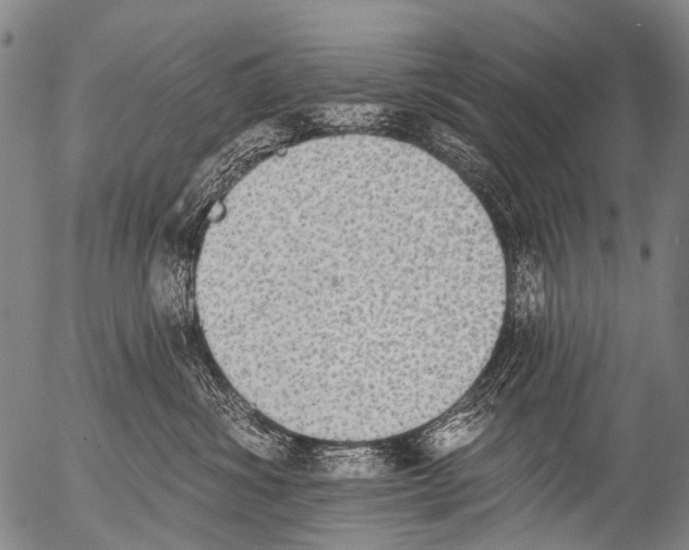 X0000054580428200508300105.png