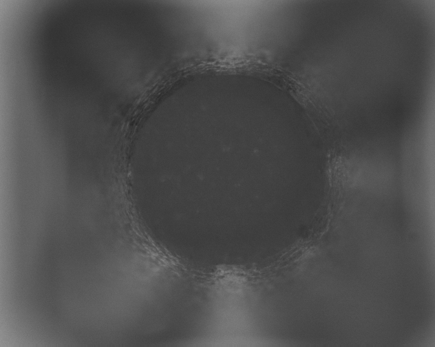 X0000051540913200506281735.png