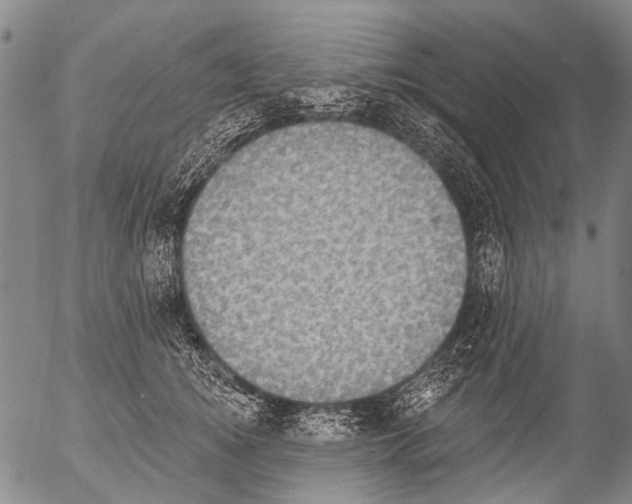 X0000054580756200508300100.png