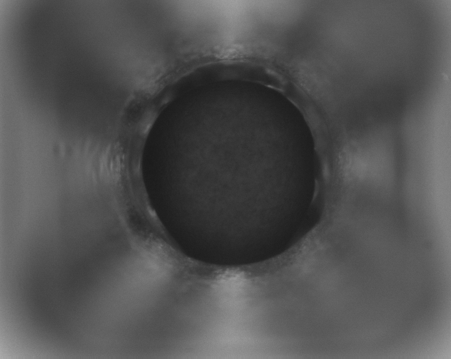 X0000054730214200508171900.png