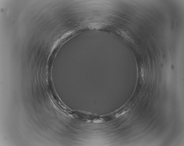 X0000054170492200508101803.png