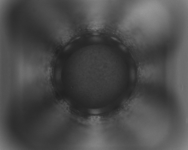 X0000048530227200503171519.png