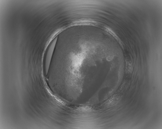 X0000055060994200508161641.png