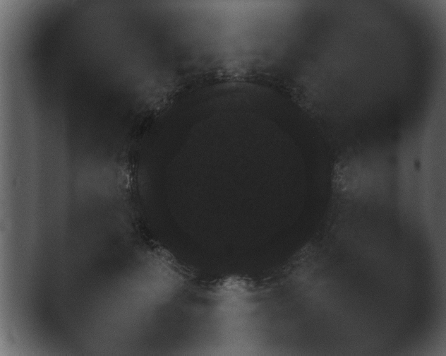 X0000043160223200411300953.png