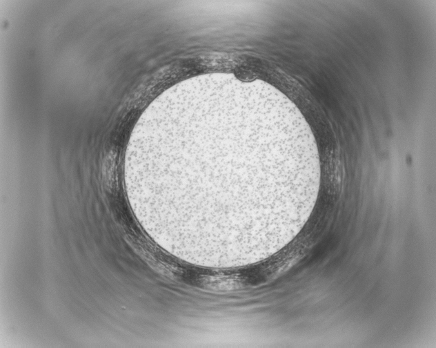 X0000054230511200508171515.png