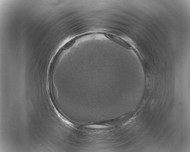 X0000054351143200508190121.png