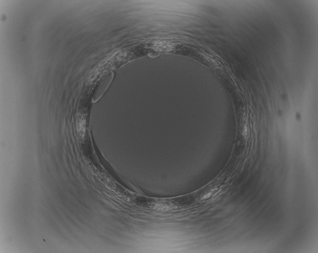 X0000054170697200508101800.png
