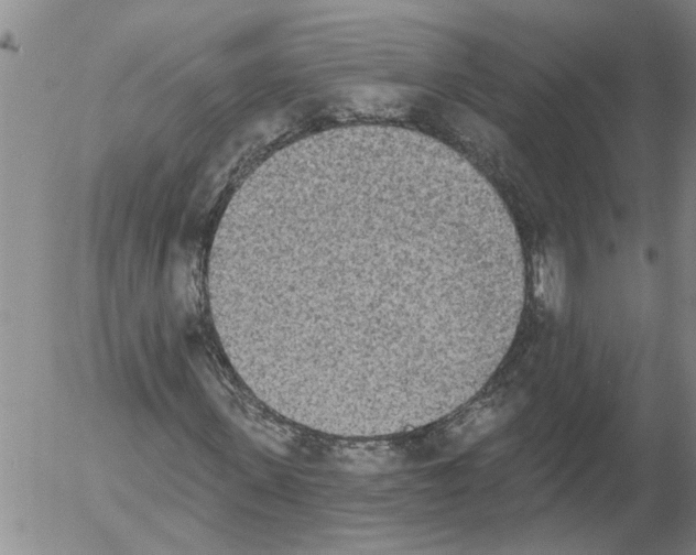 X0000054580915200508300056.png
