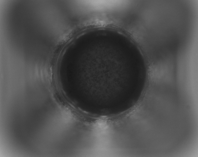 X0000054730358200508171858.png