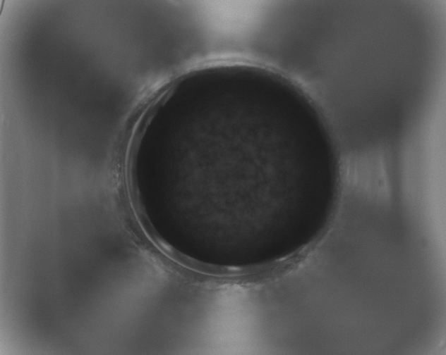 X0000054731405200508171840.png