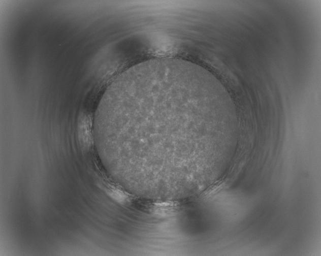 X0000055060240200508161654.png