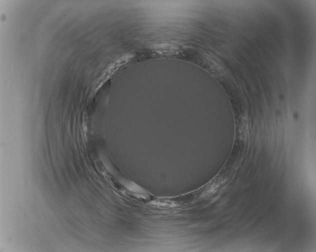 X0000054171298200508101749.png