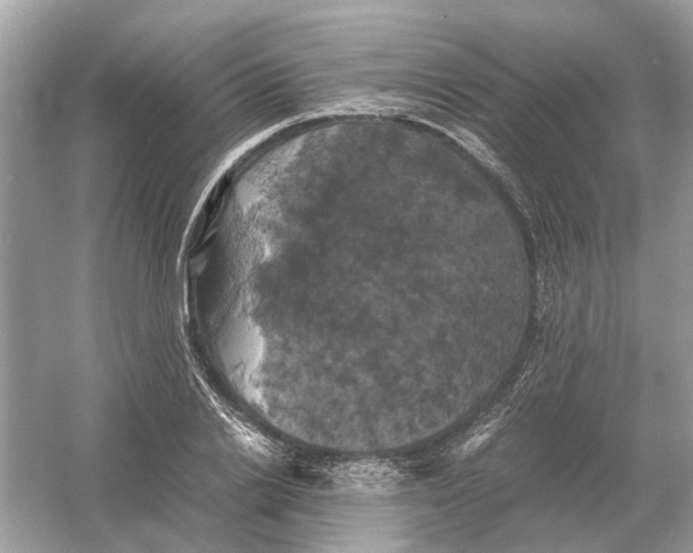 X0000054350838200508190126.png