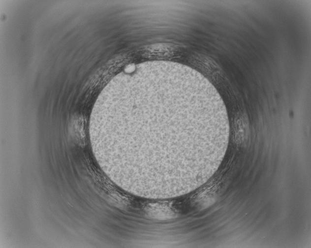 X0000054580232200508300109.png