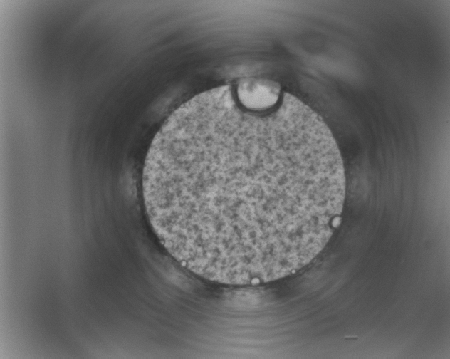 X0000053460282200508112205.png