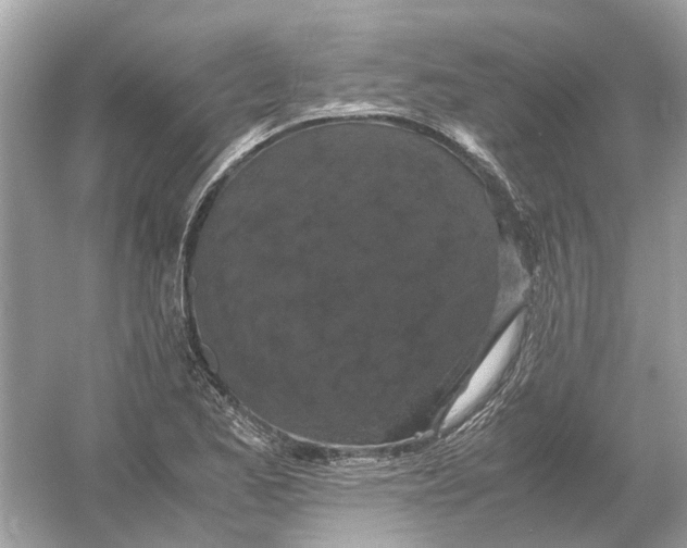 X0000054351173200508190120.png