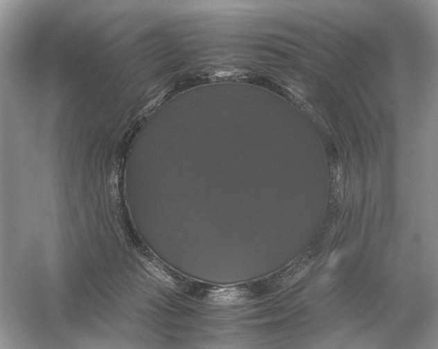 X0000054350269200508190136.png