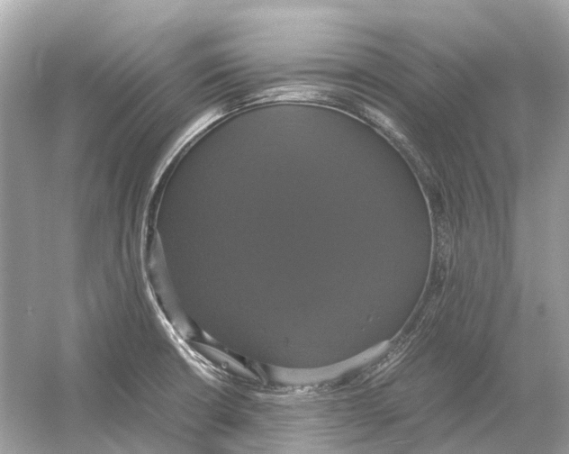 X0000054351426200508190116.png