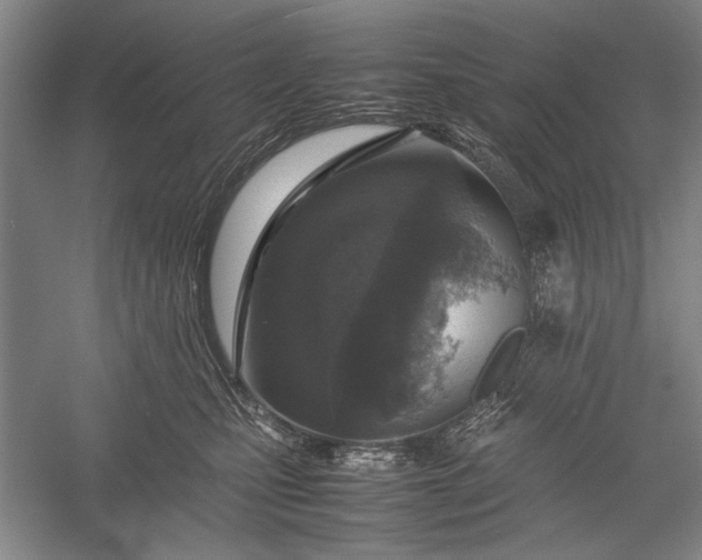 X0000055060471200508161650.png