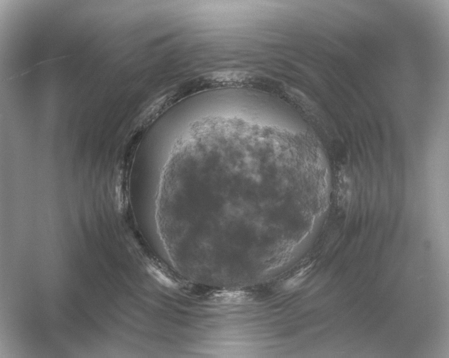 X0000054350428200508190133.png