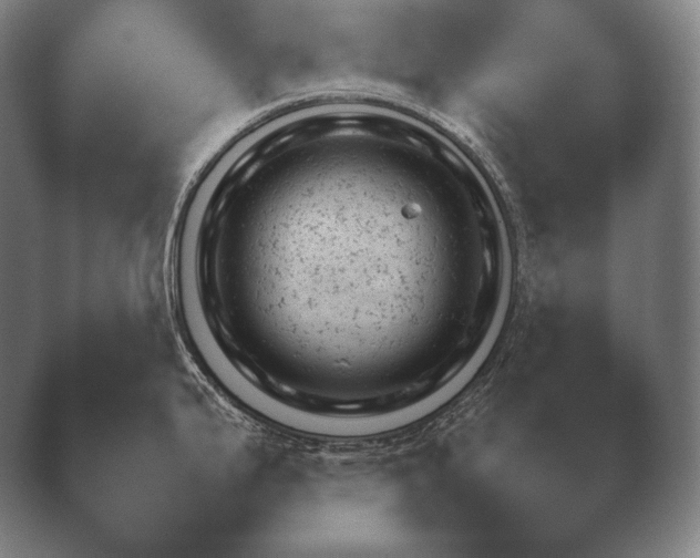X0000038851199200410131819.png
