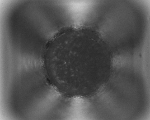 X0000038680569200409281326.png