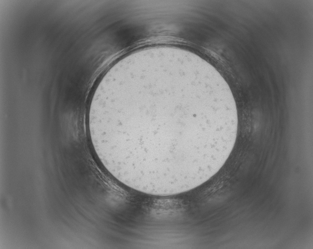 X0000055251322200509071605.png