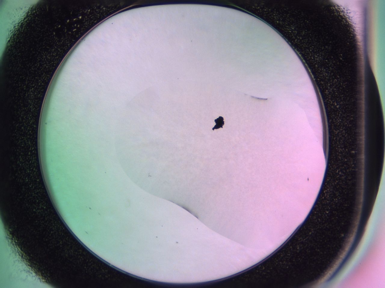 01gi_E5_ImagerDefaults_0.jpg