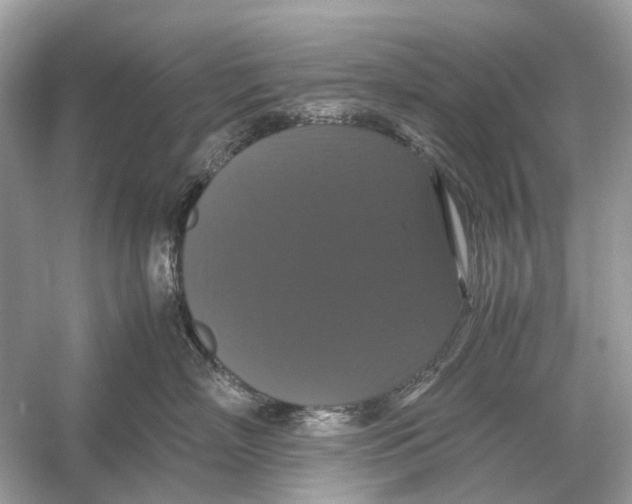 X0000054350718200508190128.png