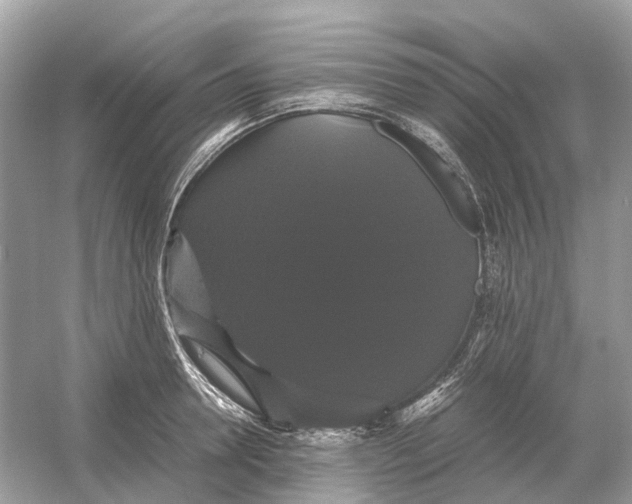X0000054350946200508190124.png