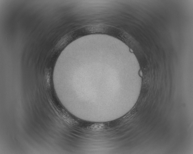 X0000055250124200509071625.png