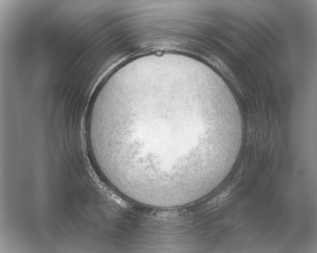 X0000054270798200508261914.png