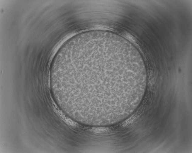 X0000054581140200508300054.png