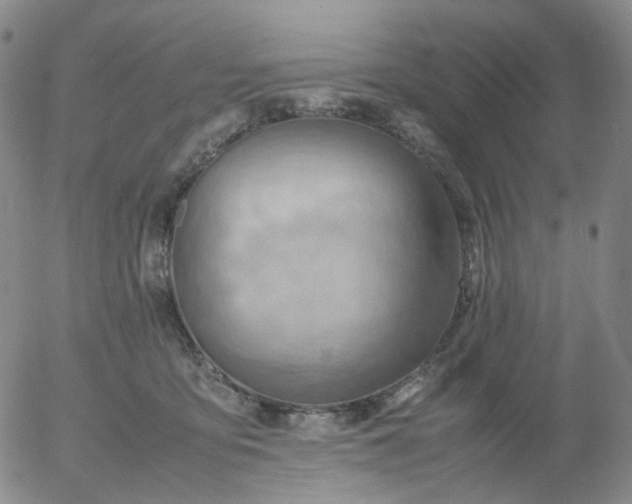 X0000054650419200508091646.png
