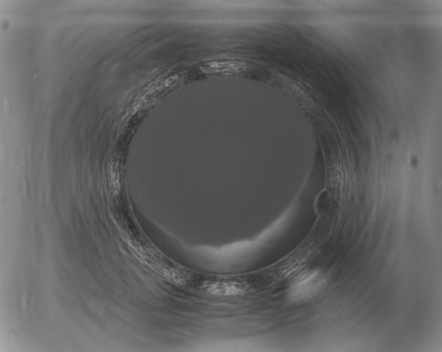 X0000054170751200508101759.png