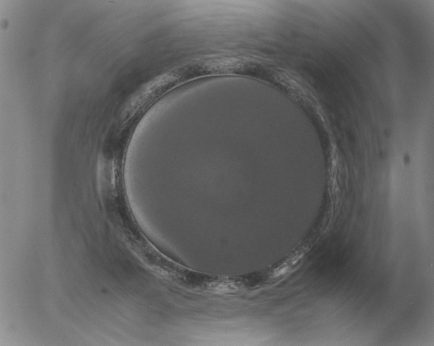 X0000054170115200508101809.png
