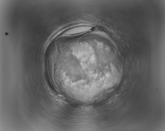 X0000055250247200509071623.png