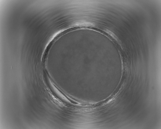 X0000054351022200508190122.png