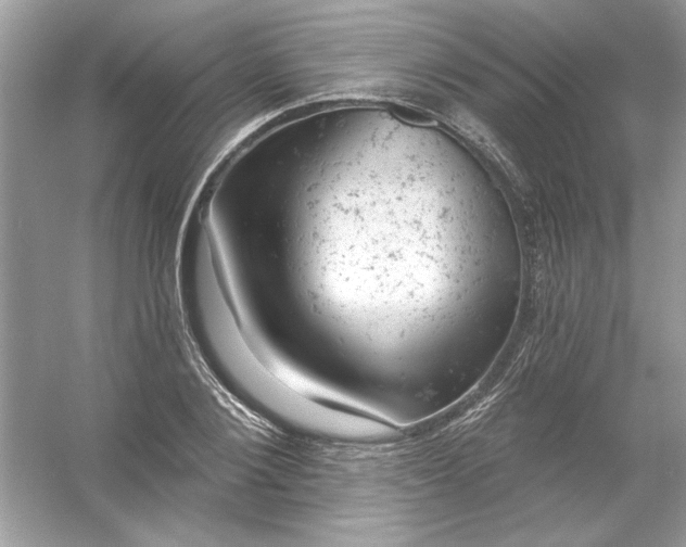 X0000054300884200508042307.png