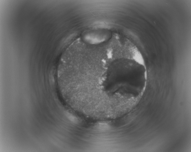 X0000053460114200508112207.png