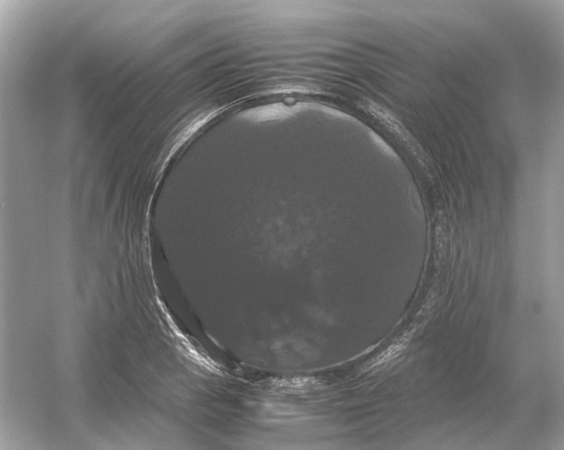 X0000054351129200508190121.png